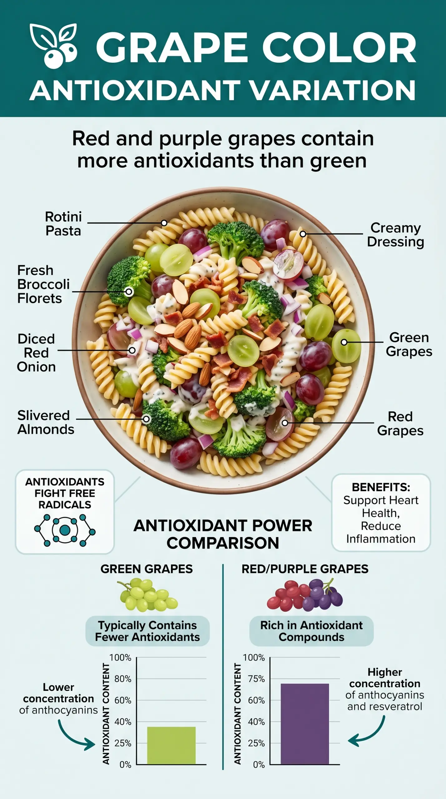 Broccoli, Grape, and Pasta Salad creamy crunchy colorful