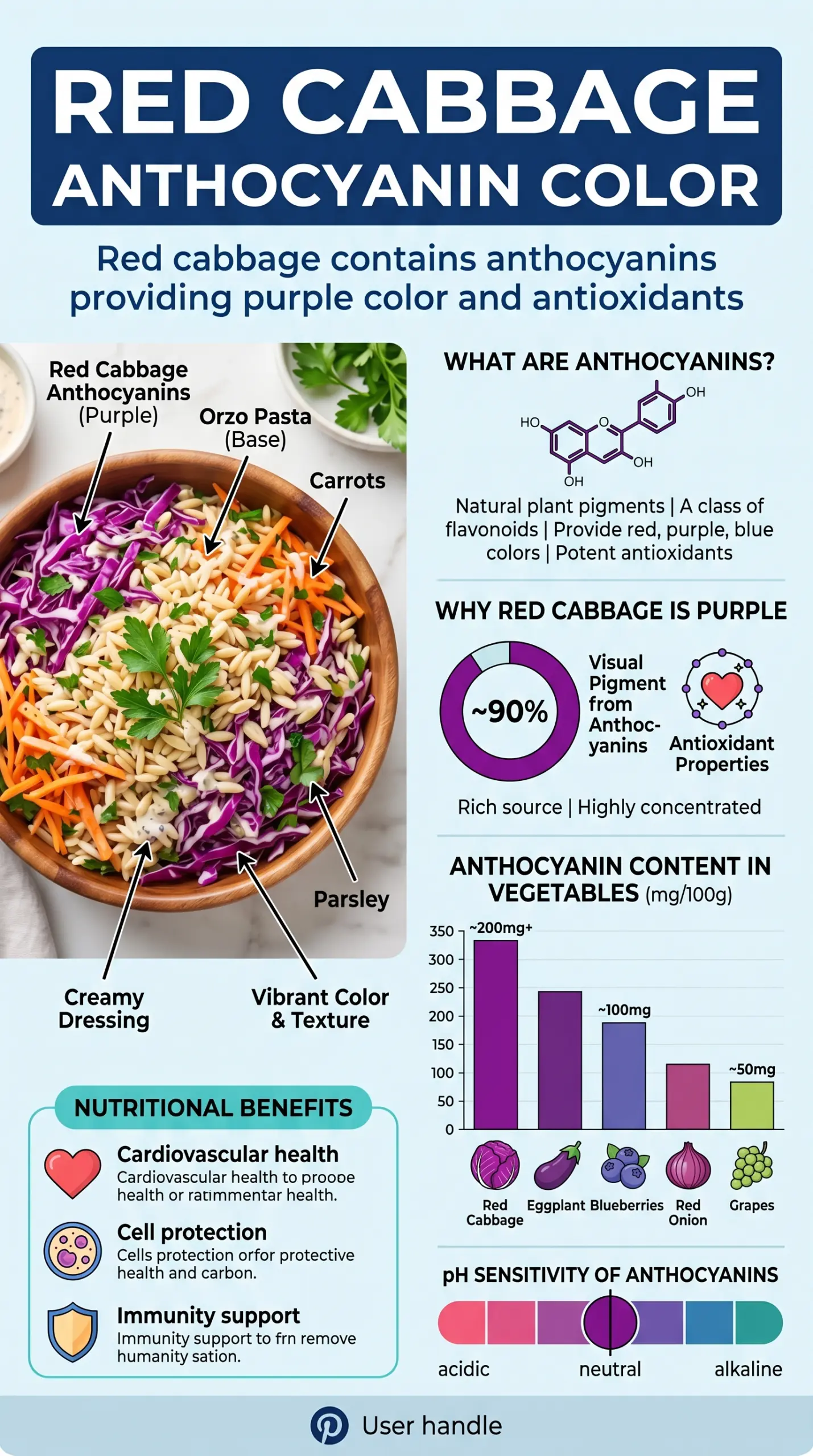Coleslaw Orzo Salad creamy tangy pasta salad