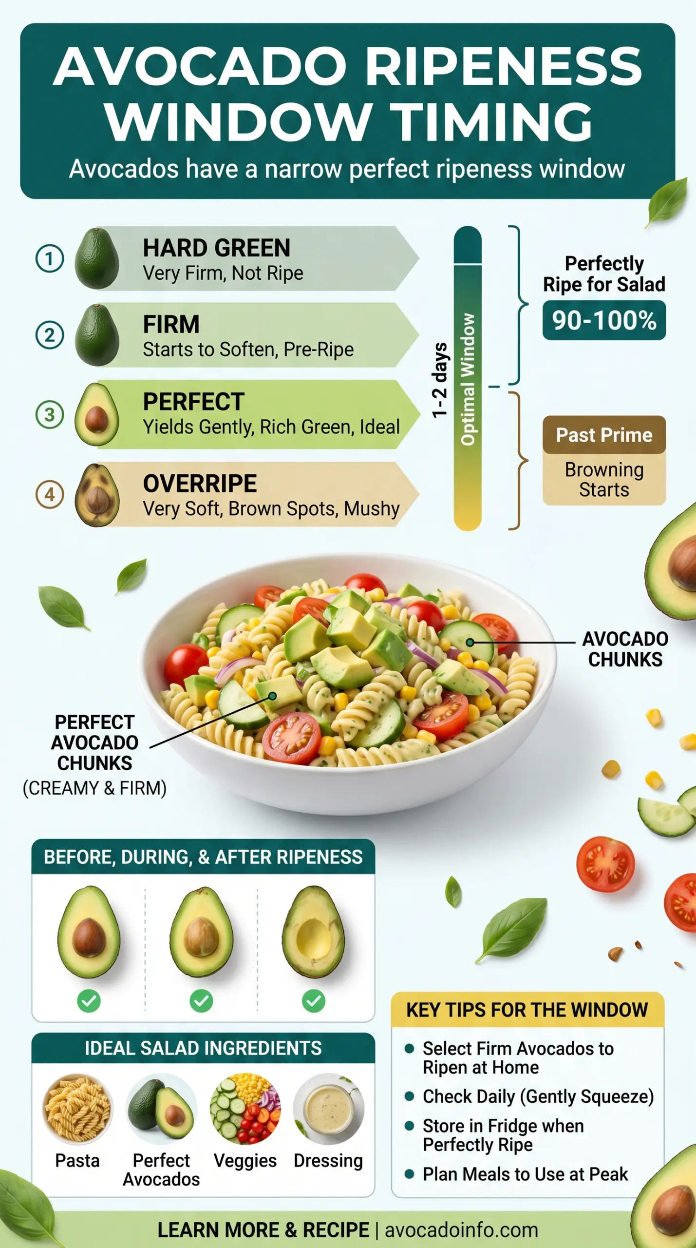 Avocado Pasta Salad creamy lime fresh tomatoes