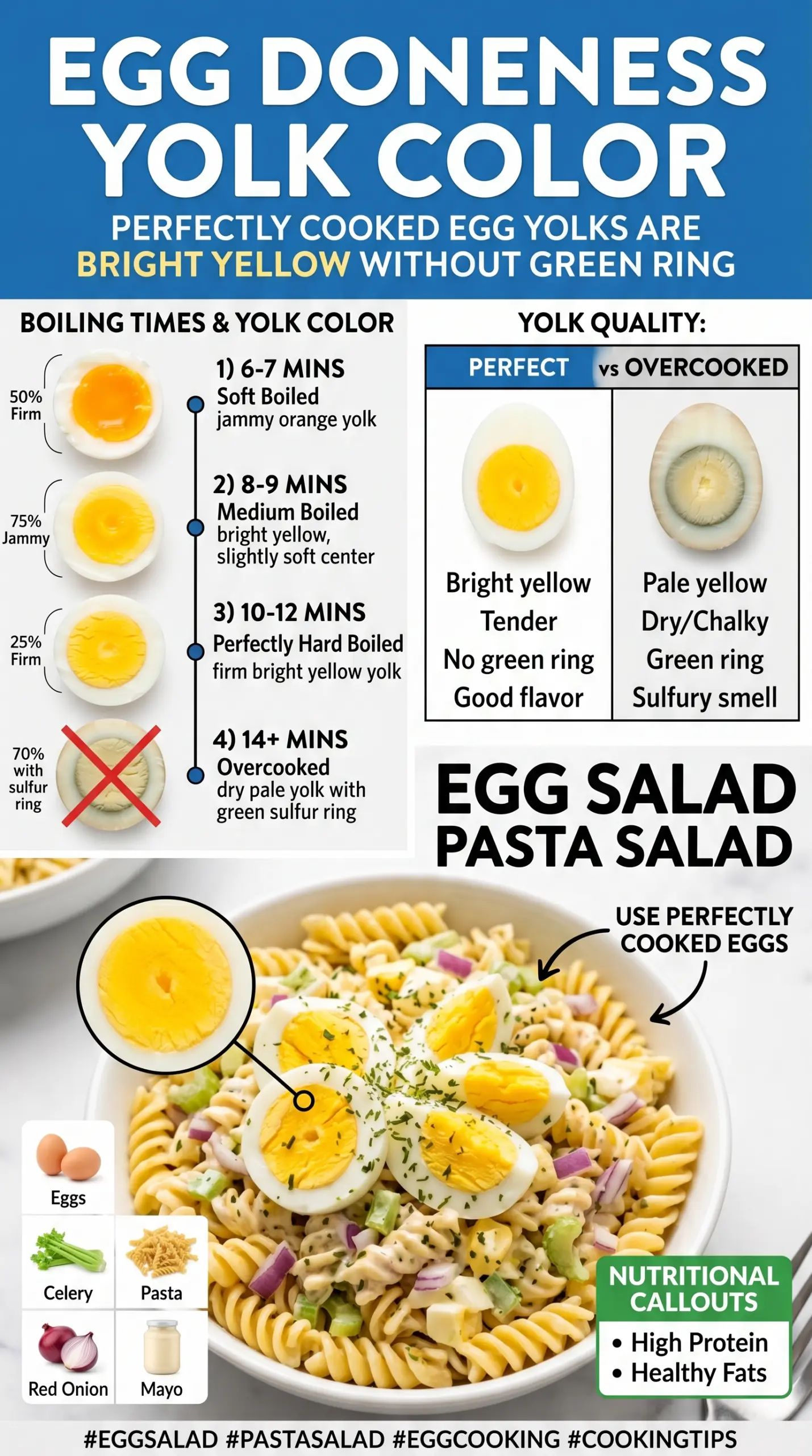 Egg Salad Pasta Salad creamy chopped eggs