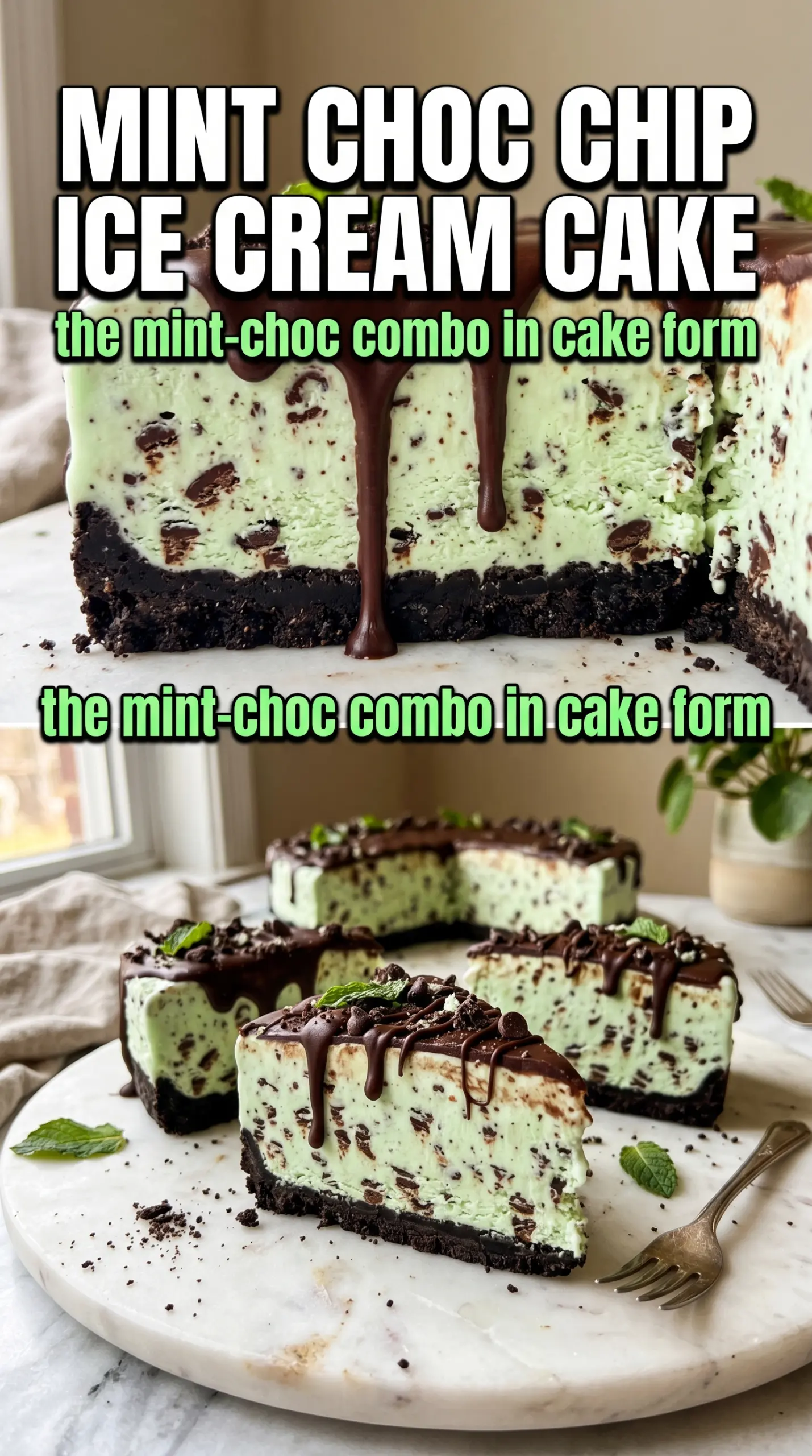Mint Chocolate Chip Ice Cream Cake with chocolate ganache, Oreo crust, mint topping