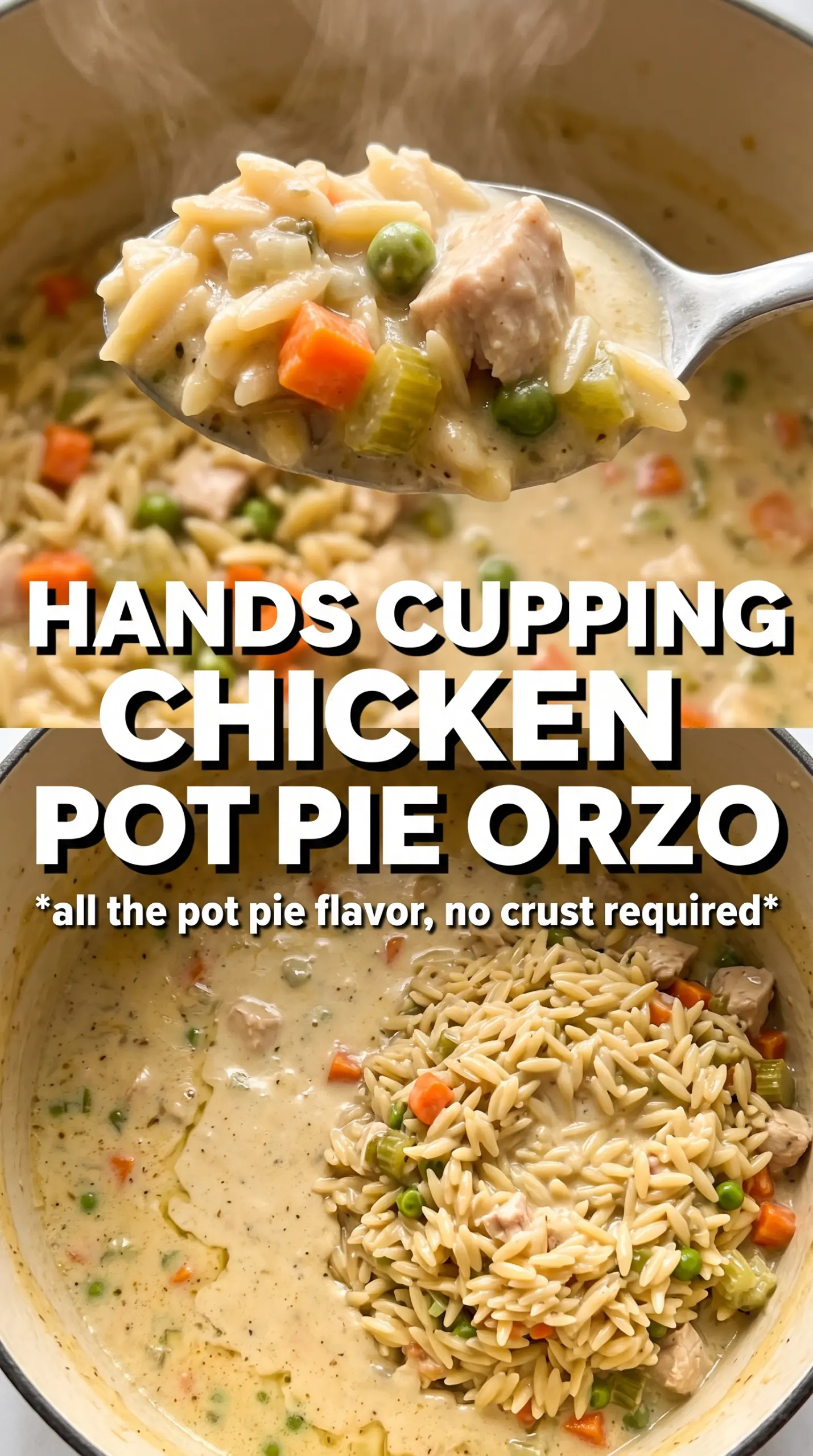 Chicken Pot Pie Orzo creamy one-pot, comforting