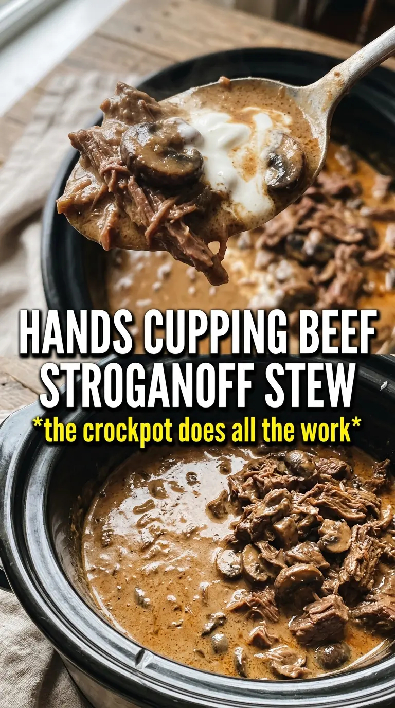 Slow Cooker Beef Stroganoff Stew creamy mushroom